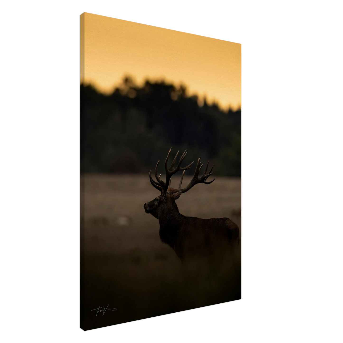 fd54f187-786c-45b3-a801-63869f3b634c