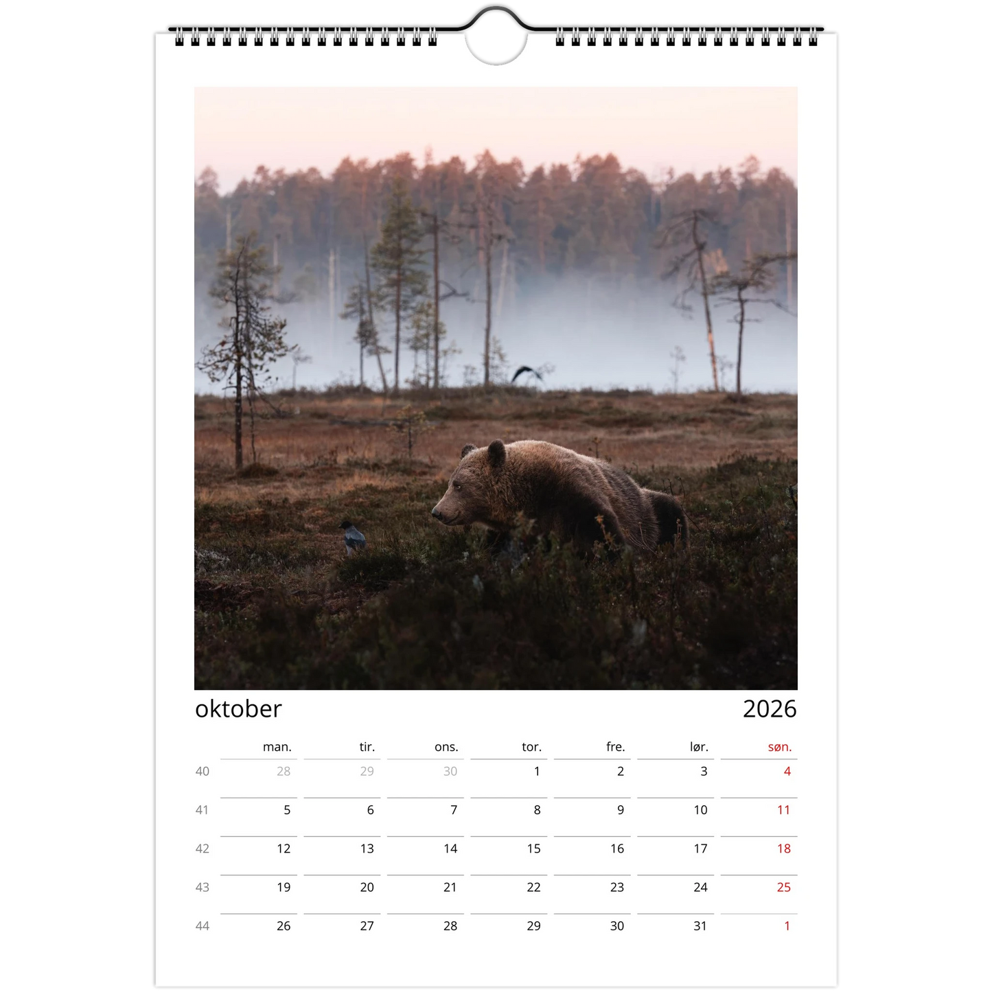 fe09710e-44bc-443e-a7c2-fba22670bce7