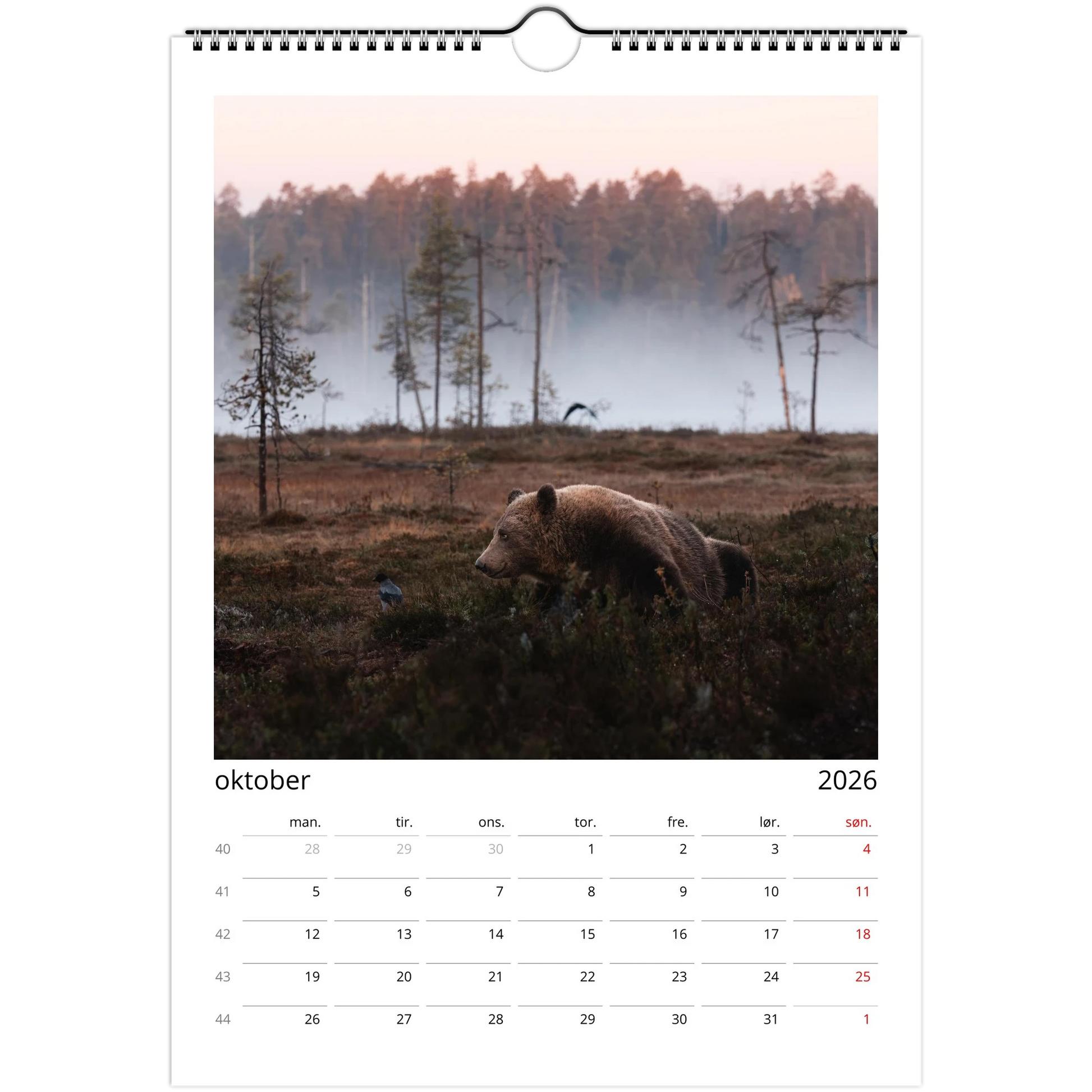 fe09710e-44bc-443e-a7c2-fba22670bce7