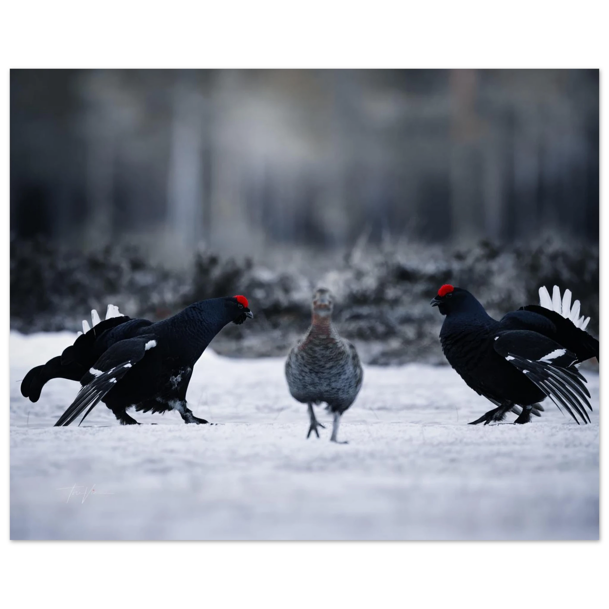 fe7359eb-5518-453c-87f7-e2f8bb4a601a