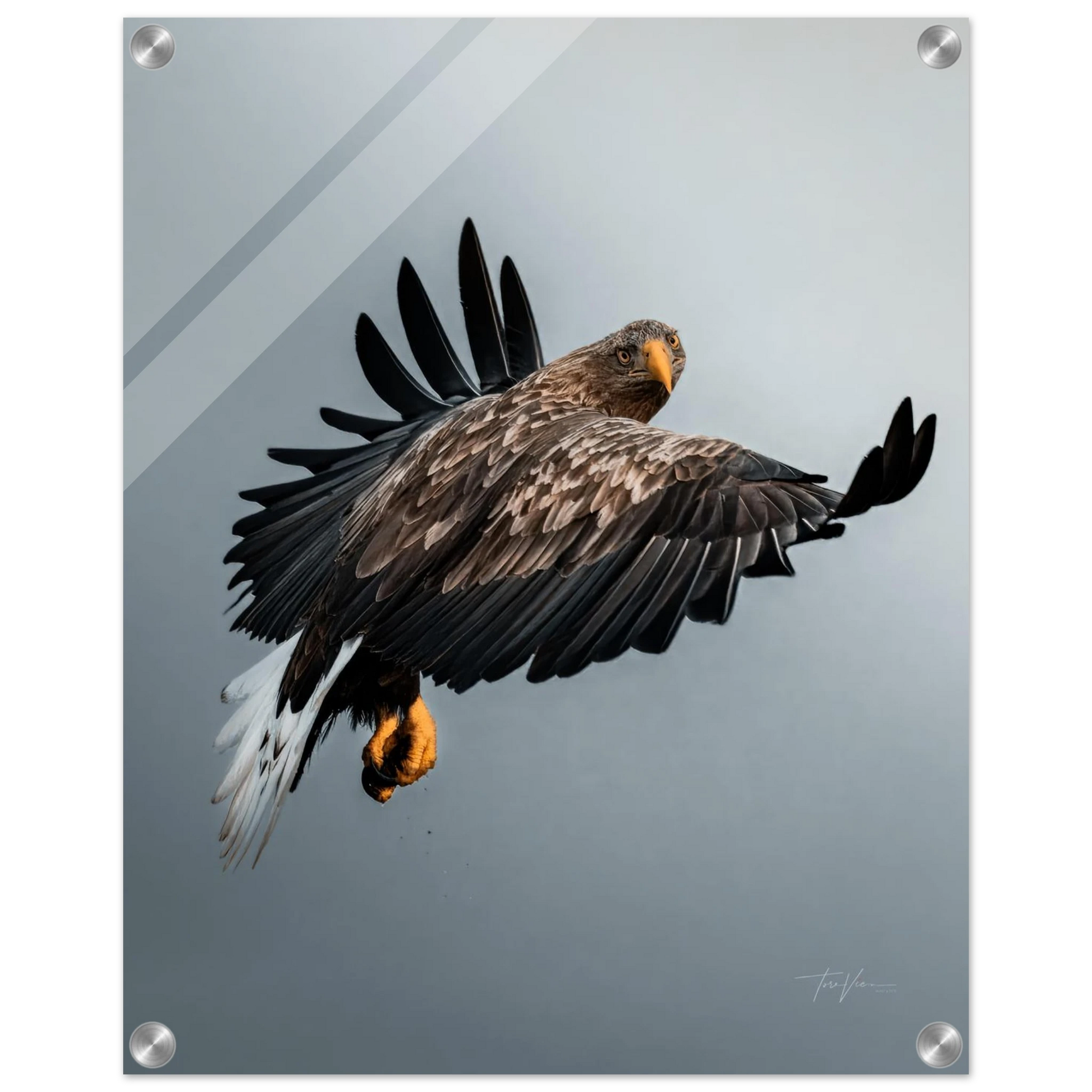 ff1600e0-c05a-4fa5-9ccd-f6f299b70836