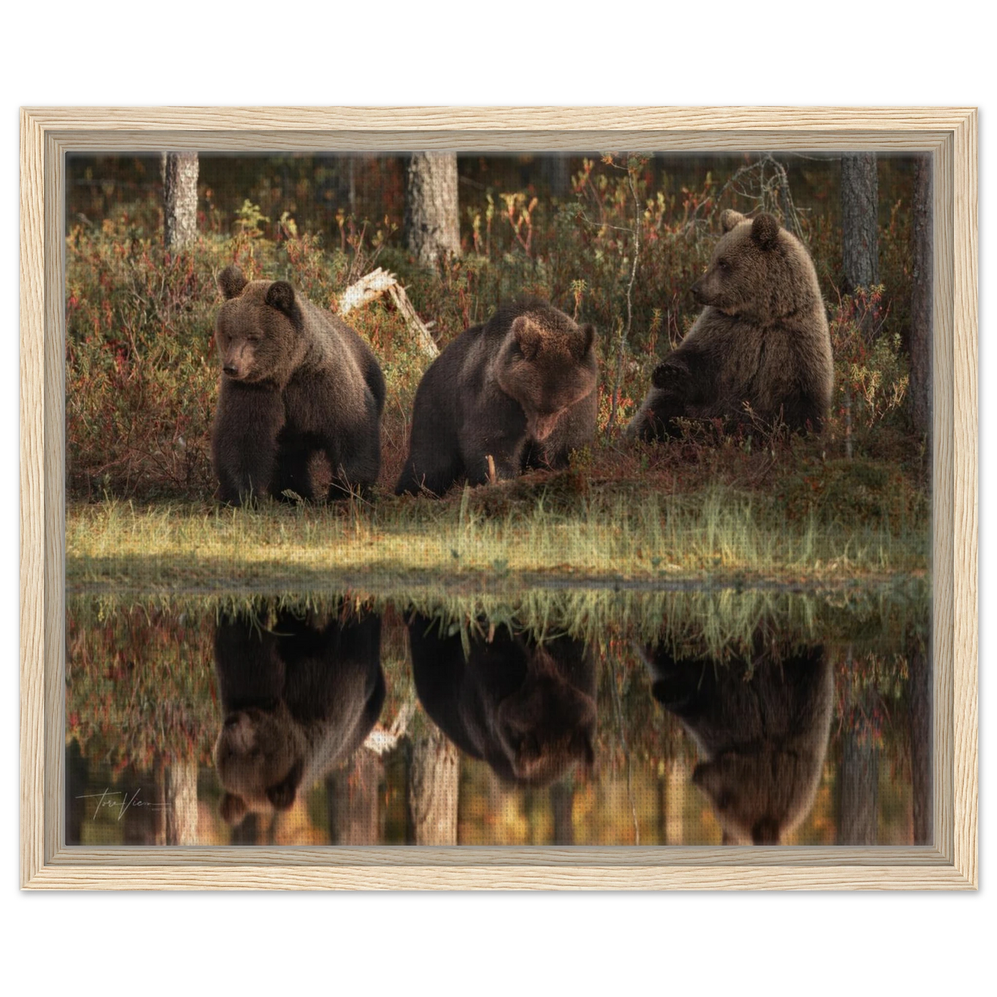 ff33ccad-64f8-4f41-9e4c-28afddc3646c