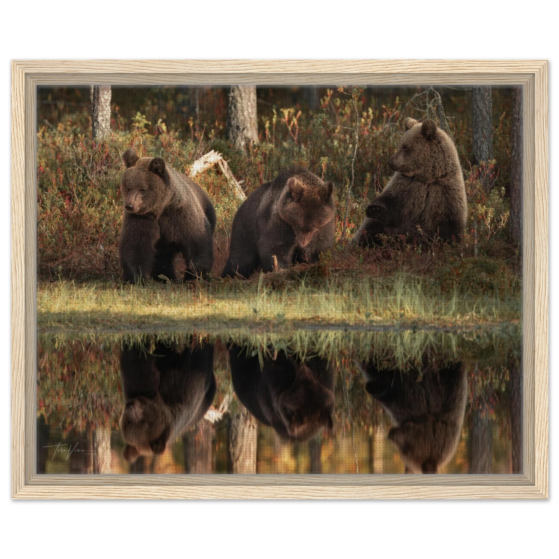 ff33ccad-64f8-4f41-9e4c-28afddc3646c