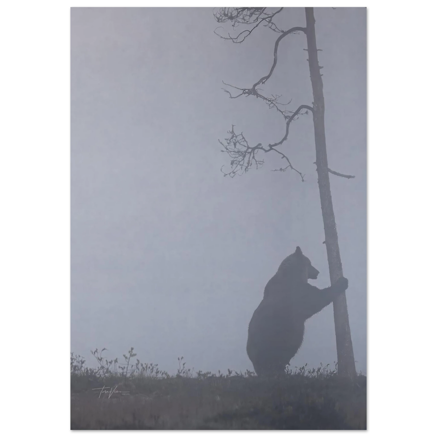 ffd6ad7d-10f2-410e-b5f6-7139e585f0fb