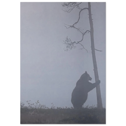 ffd6ad7d-10f2-410e-b5f6-7139e585f0fb