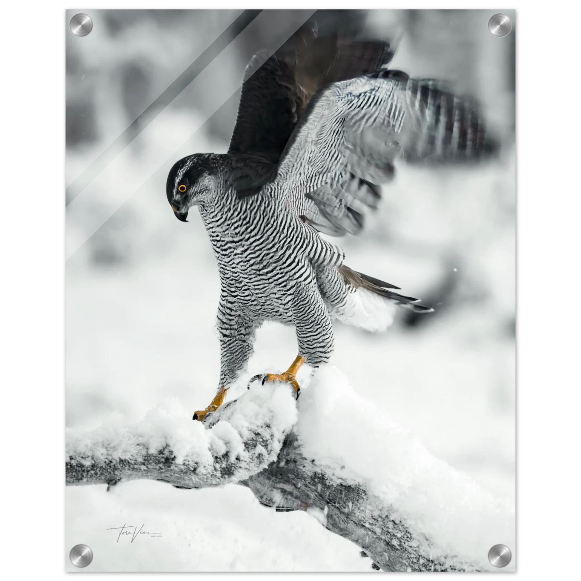 ffd8c0bd-aead-4e41-8c67-9385e45db5c6