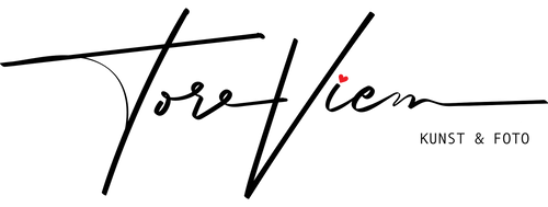 Tore Viem logo