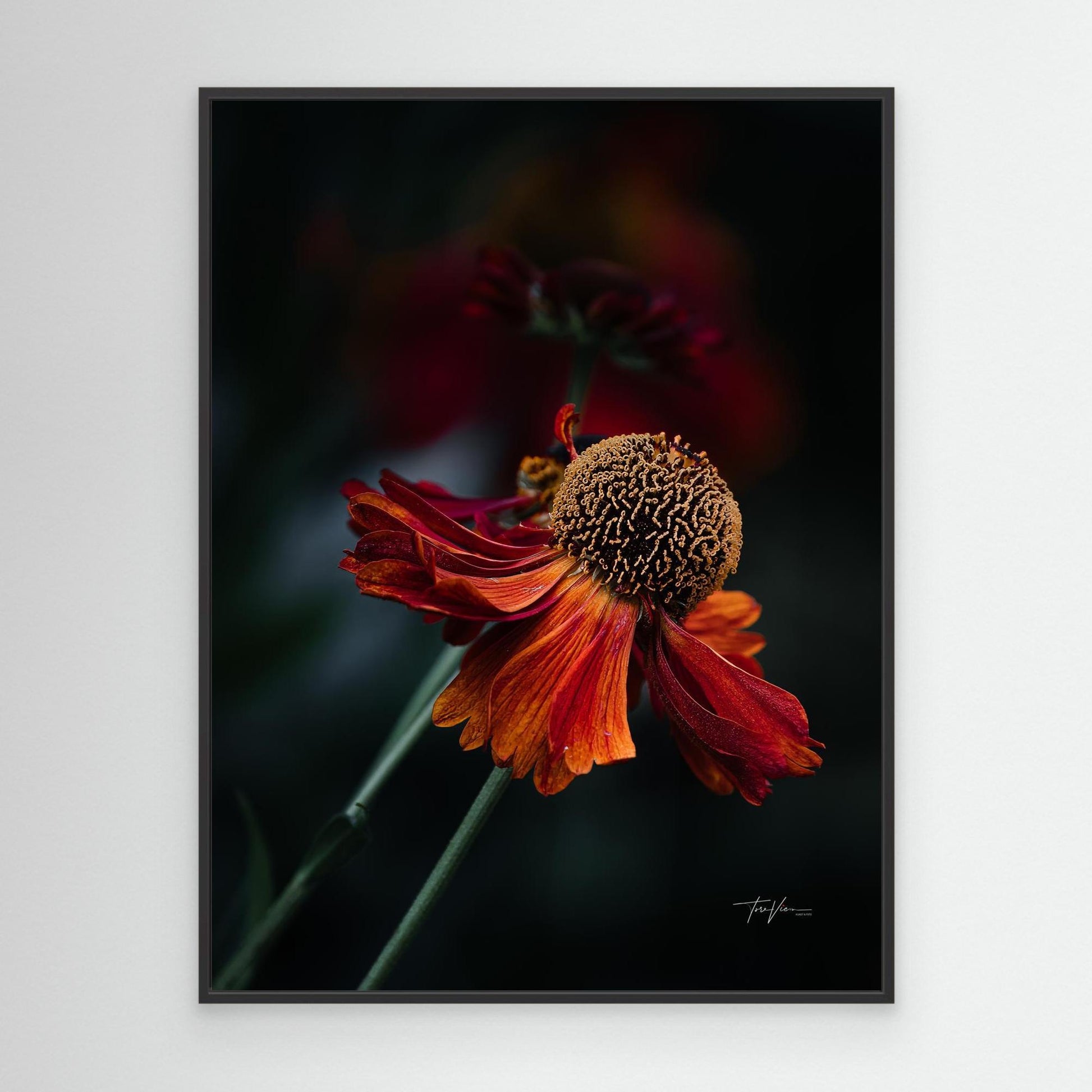 Solbrud 001