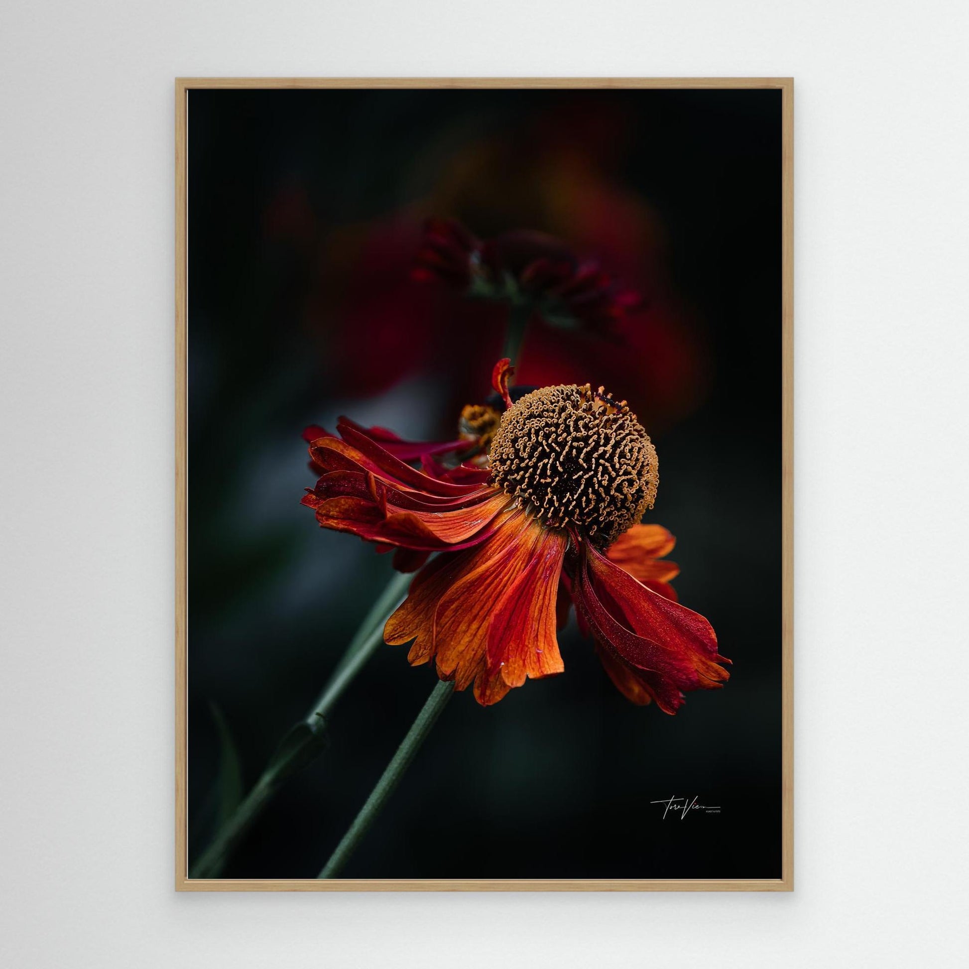 Solbrud 001